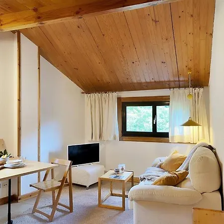 Duplex Abuhardillado Con Parking Apartment Vielha Exterior photo