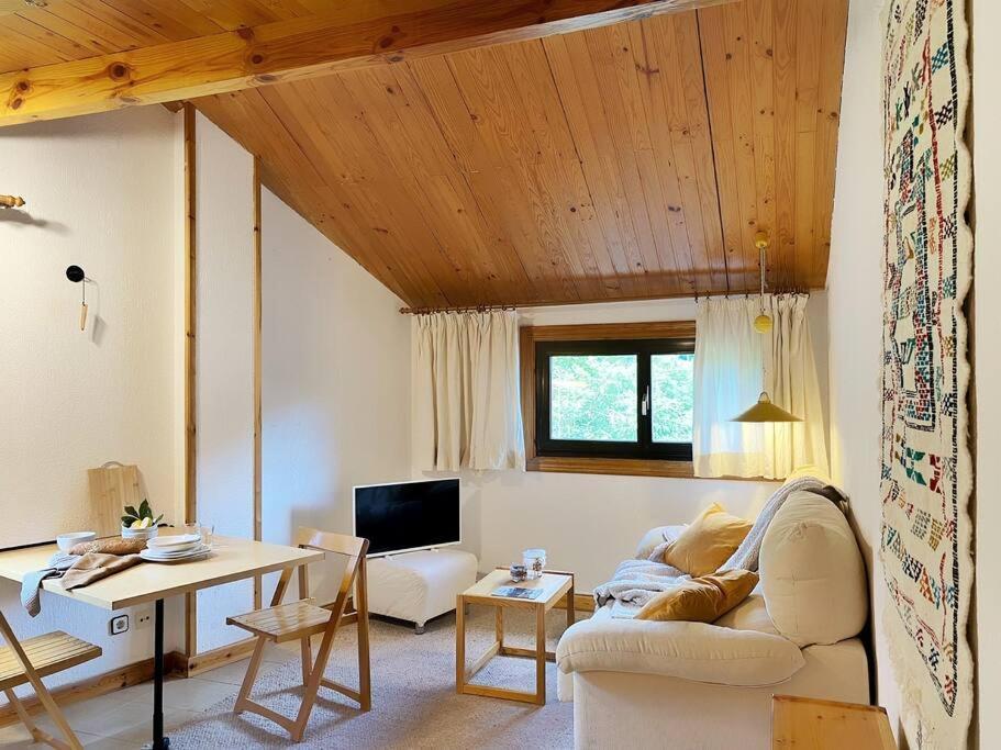 Duplex Abuhardillado Con Parking * Vielha